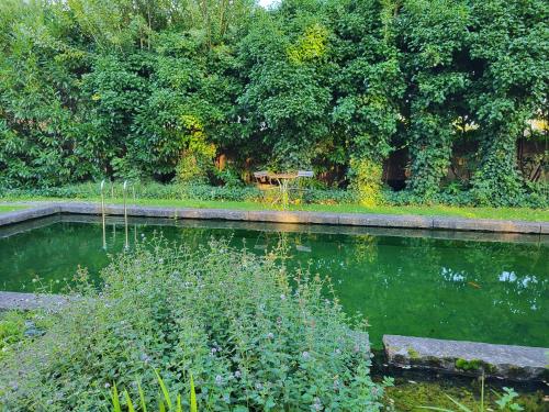 a pond in a garden with a table in the background at Charming and cosy ART DECO house in old historic farm with private natural pool and gardens with hiking and cycling trails nearby in Sint-Truiden