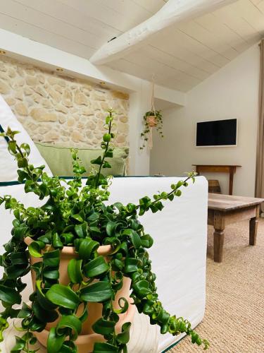 Μια τηλεόραση ή/και κέντρο ψυχαγωγίας στο La Bastide de Guiche Entre Océan et montagnes