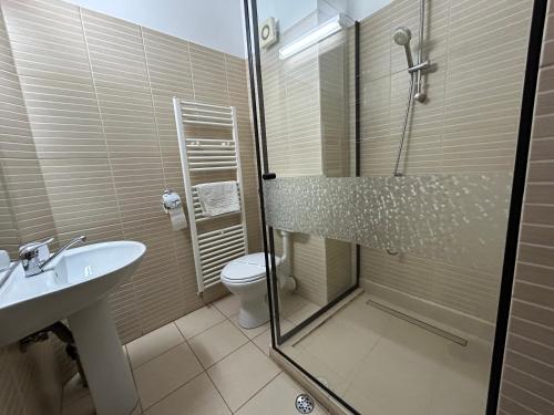 a bathroom with a shower and a toilet and a sink at Vila Alma in Baile Felix