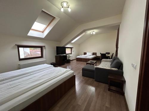 a bedroom with a bed and a couch and a tv at Vila Alma in Baile Felix