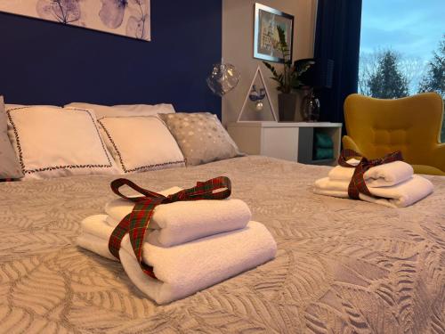 Ένα ή περισσότερα κρεβάτια σε δωμάτιο στο SAS & SPA Apartament
