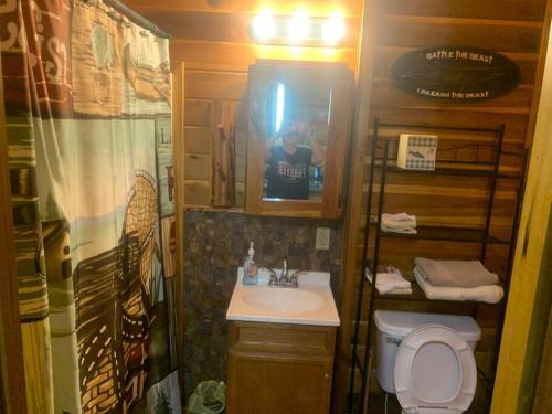 un piccolo bagno con lavandino e servizi igienici di Lofty Musky Cabin near Cave Run a Morehead