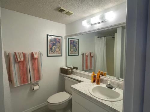 a bathroom with a sink and a toilet and a mirror at Glory Beach Haven in Venice