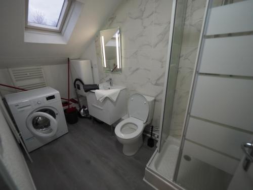 La salle de bains est pourvue de toilettes, d'un lavabo et d'une douche. dans l'établissement Appartement meublé 5 - 15 min Dampierre - 25 min Belleville - WIFI, à Gien