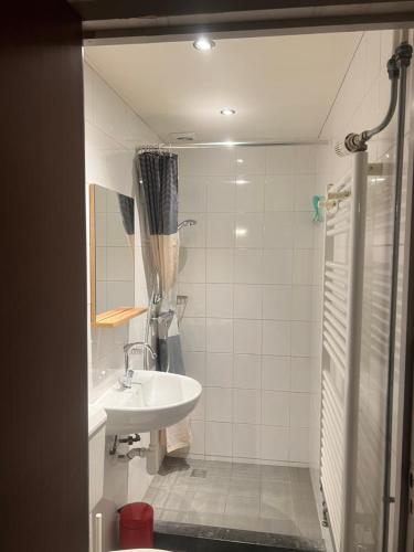 a bathroom with a sink and a shower at Gehele Bungalow Simpelveld op een park in Simpelveld