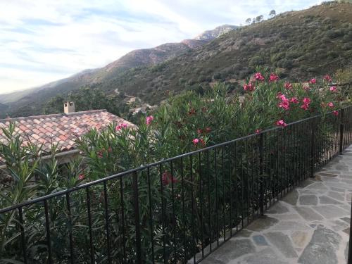 a fence with pink flowers in front of a mountain at Gîte A Funtana Montestremo, Balagne, Haute Corse in Manso