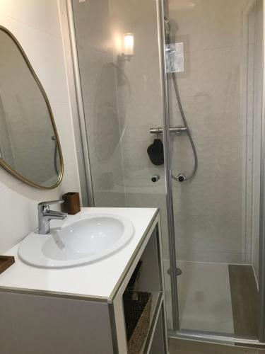 a bathroom with a sink and a shower at Gîte A Funtana Montestremo, Balagne, Haute Corse in Manso