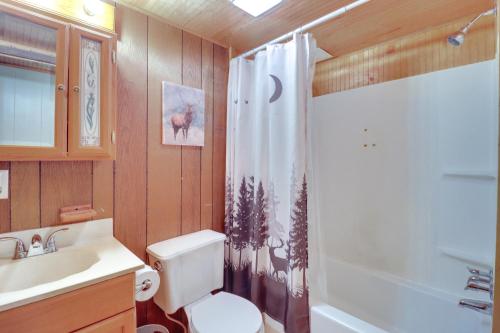 Pocono LakeにあるFamily-Friendly Cabin with Fire Pit in Pocono Lake!のトイレ、洗面台、シャワー付きのバスルーム