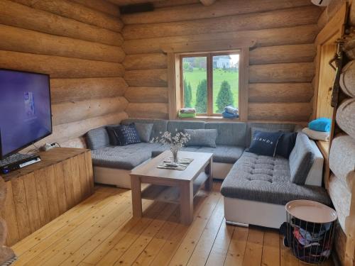 ein Wohnzimmer mit einem Sofa und einem TV in der Unterkunft Lebola Puhkemaja in Kasaritsa