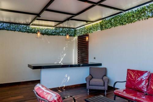 a room with two chairs and a bar with plants at Tokio Loft Loft Moderno en Centro de Durango in Durango