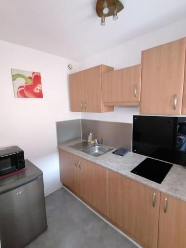 une cuisine avec un évier et un plan de travail dans l'établissement LA BERGERIE ANGERS CENTRE VILLE, à Angers