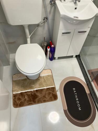 a bathroom with a toilet and a sink at Studio Apartman Natalia in Vlasic