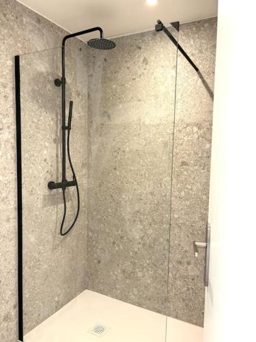 une douche avec une porte vitrée dans une salle de bain dans l'établissement Appartement Les Hirondelles, à Aix-les-Bains