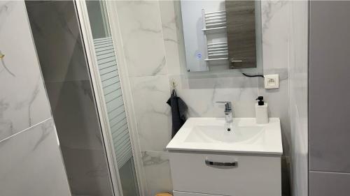 W białej łazience znajduje się umywalka i lustro. w obiekcie Calme, agréable et fonctionnel w Brukseli