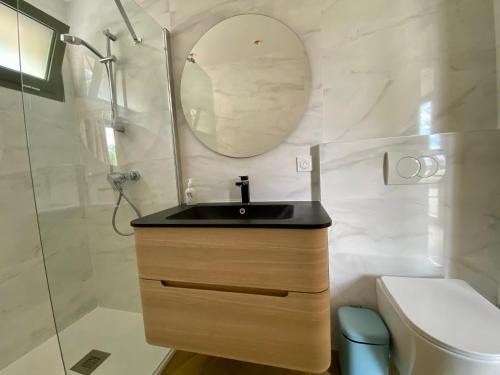 a bathroom with a sink and a mirror and a toilet at Villa Jacuzzi Calme & Elegance - Prox Mer - Clim & Cheminée - Parking in Cagnes-sur-Mer