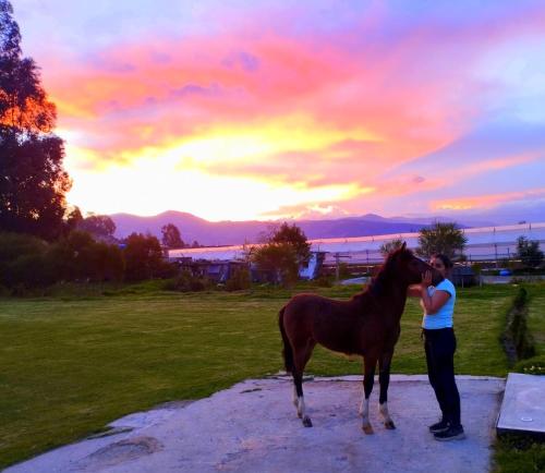 Un uomo in piedi accanto a un cavallo al tramonto di HOSTERÍA QUINTA INÉS MARÍA a Chambo