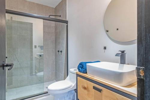 ein Bad mit einem WC, einem Waschbecken und einer Dusche in der Unterkunft Depa Industrial Moderno y Comodo in Durango