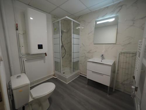 uma casa de banho com um WC, um chuveiro e um lavatório. em Appartement meublé 4 - 15 min Dampierre - 25 min Belleville - WIFI em Gien