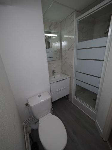 Baño blanco con aseo y lavamanos en 8 appartements - studio - F2 - WIFI gratuit, en Gien