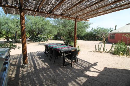 un patio con mesa y sillas bajo una pérgola en Pericu Bed and Garden, en La Ventana