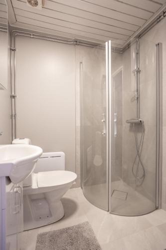 a bathroom with a shower and a toilet and a sink at Strandgården Fjällnäs in Tänndalen