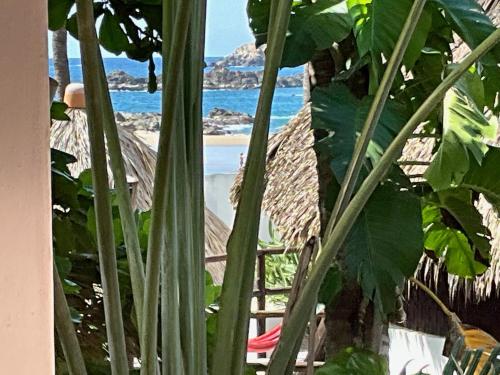 Φυσικό τοπίο κοντά σε αυτό το καταφύγιο