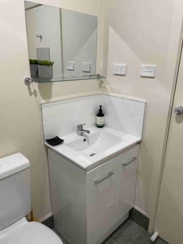 uma casa de banho com um lavatório branco e um WC. em Elliston Cottage North Hobart x 2 em Hobart