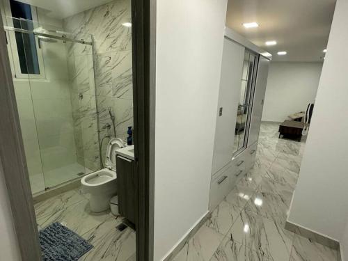łazienka z toaletą i kabiną prysznicową w obiekcie Unlimited Ocean View - The Sands w Panamie