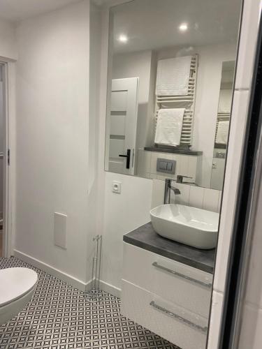 a white bathroom with a sink and a toilet at Tabago Studio 14 in Nysa