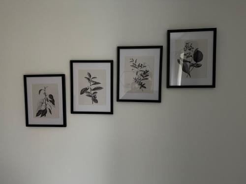 four framed drawings of plants on a wall at Timber Court - 2 free parking spaces - 2 Bedroom Apartment - Fast Wi-Fi - Perfect for Long Term - by Rockman Residences in Stifford