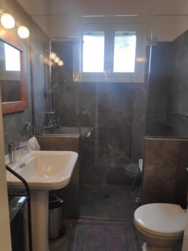 een badkamer met een douche, een wastafel en een toilet bij Το σπίτι με τις βουκαμβίλιες in Ayia Evfimia
