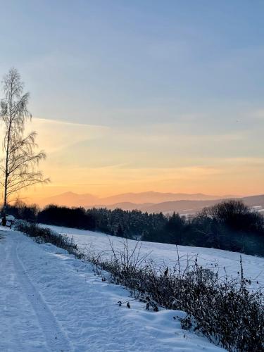 Aurora Green Hill - Forest – Photos 2