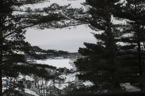 a view of a lake from between two trees at The Master Bedroom at the Hillside B&B in Wisconsin Dells