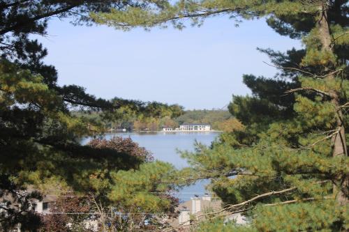 a view of a lake through the trees at The Master Bedroom at the Hillside B&B in Wisconsin Dells