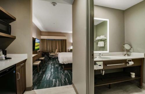 大急流城的住宿－Best Western Plus Grand Rapids MN，一间酒店客房 - 带一张床和一间浴室