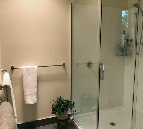 W łazience znajduje się prysznic ze szklanymi drzwiami. w obiekcie The Cabin By the Sea - Cosy Waterfront Getaway w mieście Lunawanna