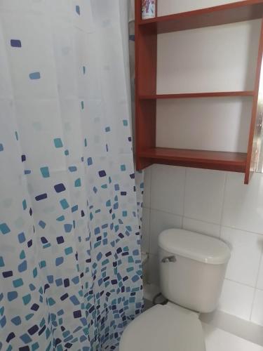 La salle de bains est pourvue de toilettes et d'un rideau de douche. dans l'établissement Departamento en Condominio, à Puerto Montt
