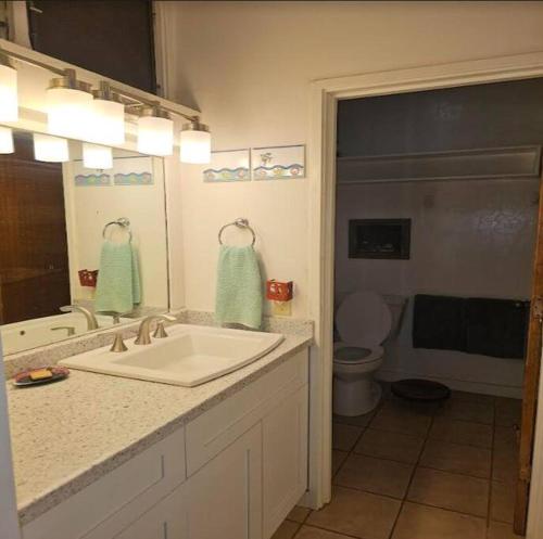 een badkamer met een wastafel, een toilet en een spiegel bij Oceanview Moloka'i Studio in Maunaloa