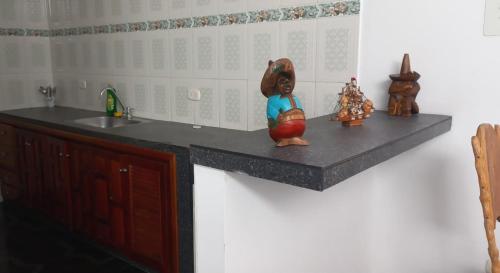 un mostrador con fregadero y algunas figuritas en él en Hermoso apartamento Duplex, en Guaduas