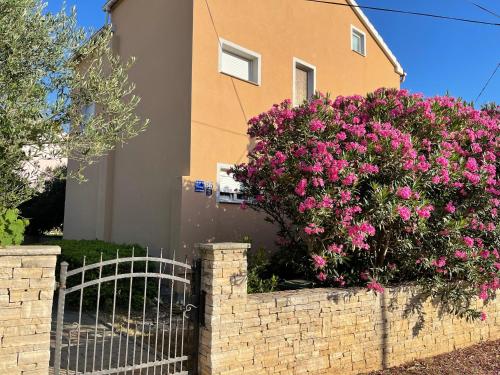 Apartments with parking space Privlaka, Zadar - 21749