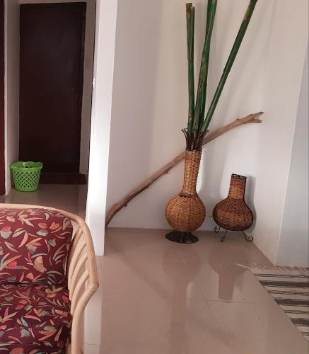 Gallery image of Martintar- Lodge 3 studio in Nadi