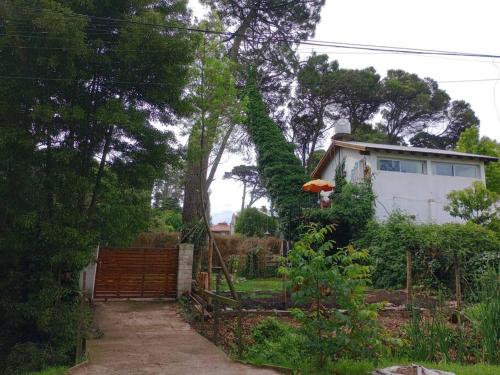 una casa con una grande edera che cresce su di essa di Casa en plata alta en el Bosque. a Mar del Plata