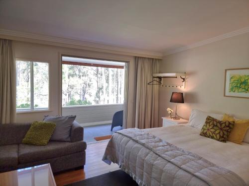 Elfin Hill Vineyard Accommodation في بوكولبين: غرفة نوم بسرير واريكة ونافذة