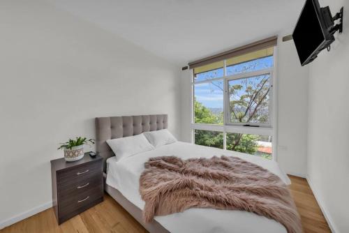 a bedroom with a bed and a window at The Woodpecker in Merimbula