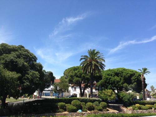 a view of a park with trees and bushes at Hotel La Cigale in La Croix-Valmer