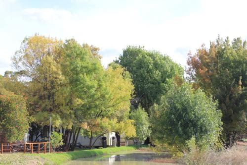 a group of trees next to a body of water at Kerang Holiday park in Kerang