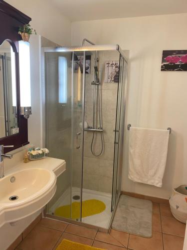 La salle de bains est pourvue d'une douche et d'un lavabo. dans l'établissement Pierre et Vacances Vue Mer, à Sainte-Luce