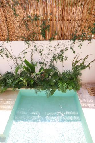 a pool of water with plants on a wall at Akbal Tulum in Tulum