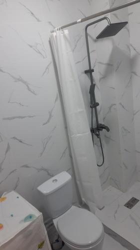 y baño con aseo y cortina de ducha. en Гостиничный дом Эко, en Karakol