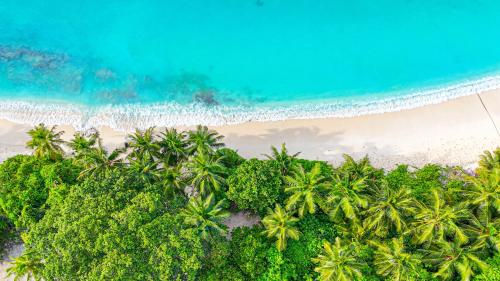 an overhead view of a beach with palm trees and the ocean at Blue Water Thoddoo Inn in Thoddoo